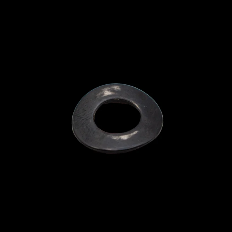Zenoah 54mm Clutch Shoe Spring Washer [114051242]