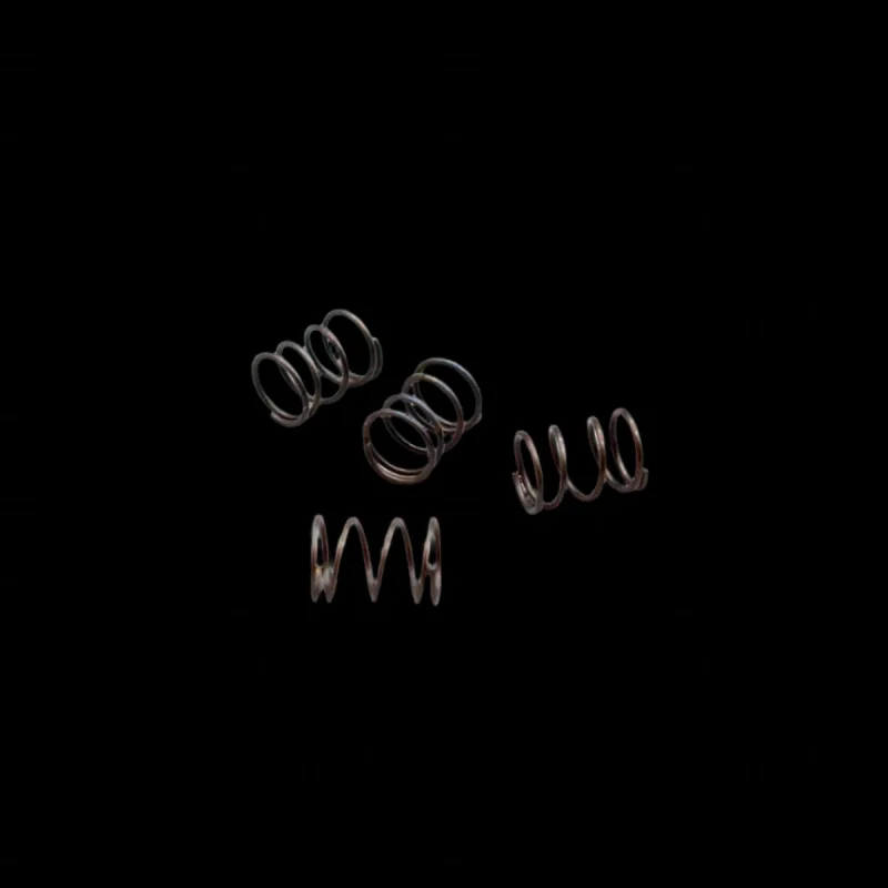 Turtle Racing Replacement Brake Pad Springs